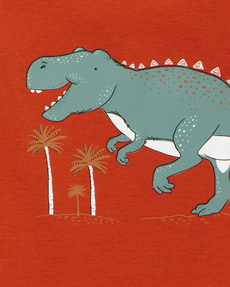 Kit body bebê 5 peças dinossauros multicor | Carter's